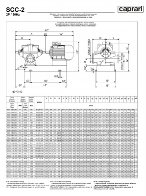 Горизонтальные насосы двустороннего входа Caprari SCC-2-100-315 2900 Горизонтальные насосы двустороннего входа Caprari SCC-2-100-315 2900