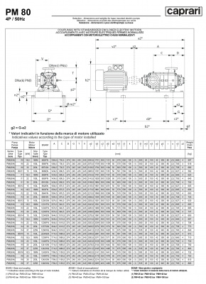 Горизонтальные многоступенчатые насосы высокого давления Caprari PM 80 1750 Горизонтальные многоступенчатые насосы высокого давления Caprari PM 80 1750