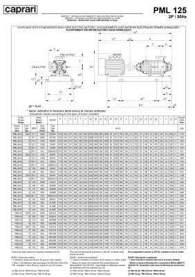 Горизонтальные многоступенчатые насосы высокого давления Caprari PML 125 2900 Горизонтальные многоступенчатые насосы высокого давления Caprari PML 125 2900