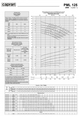 Горизонтальные многоступенчатые насосы высокого давления Caprari PML 125 2900 Горизонтальные многоступенчатые насосы высокого давления Caprari PML 125 2900