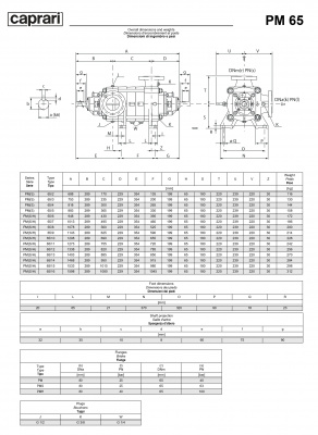 Горизонтальные многоступенчатые насосы высокого давления Caprari PM 65 2900 Горизонтальные многоступенчатые насосы высокого давления Caprari PM 65 2900