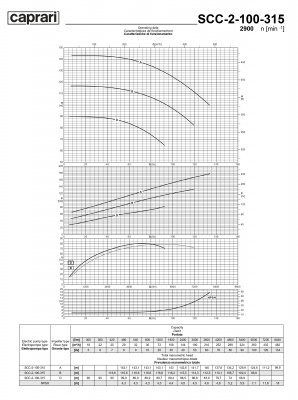 Горизонтальные насосы двустороннего входа Caprari SCC-2-100-315 2900 Горизонтальные насосы двустороннего входа Caprari SCC-2-100-315 2900