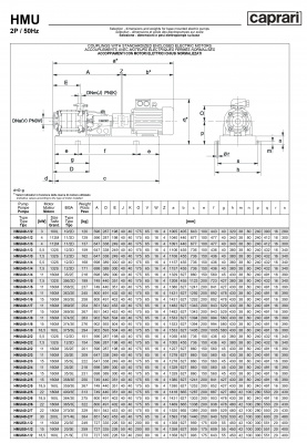 Горизонтальные секционные насосы высокого давления Caprari NMU 2400 Горизонтальные секционные насосы высокого давления Caprari NMU 2400