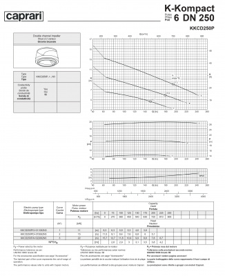 Сухая установка фекального насоса Caprari K-KOMPACT 6 DN 250 KKCD250P Сухая установка фекального насоса Caprari K-KOMPACT 6 DN 250 KKCD250P