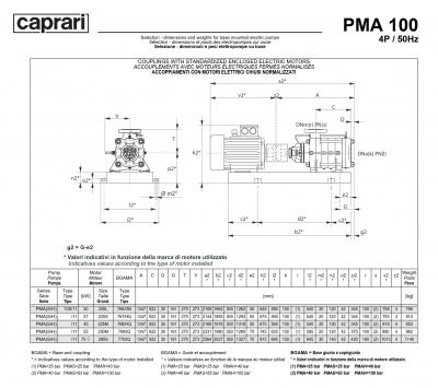 Горизонтальные многоступенчатые насосы высокого давления Caprari PMA 100 2900 Горизонтальные многоступенчатые насосы высокого давления Caprari PMA 100 2900