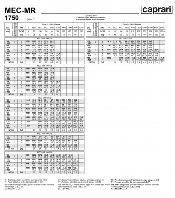 Горизонтальные многоступенчатые насосы Caprari MEC-MR 1750 Горизонтальные многоступенчатые насосы Caprari MEC-MR 1750