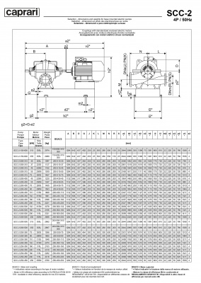 Горизонтальные насосы двустороннего входа Caprari SCC-2-200-315 1450 Горизонтальные насосы двустороннего входа Caprari SCC-2-200-315 1450