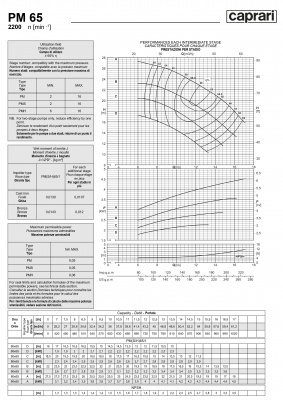 Горизонтальные многоступенчатые насосы высокого давления Caprari PM 65 2200 Горизонтальные многоступенчатые насосы высокого давления Caprari PM 65 2200