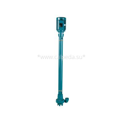 Полупогружной насос Calpeda SCX 20