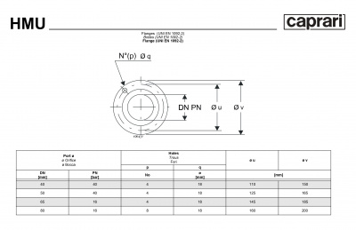 Горизонтальные секционные насосы высокого давления Caprari NMU 2200 Горизонтальные секционные насосы высокого давления Caprari NMU 2200