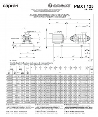 Горизонтальные секционные насосы высокого давления Caprari PMXT 125 2000 из нержавеющей стали Горизонтальные секционные насосы высокого давления Caprari PMXT 125 2000 из нержавеющей стали