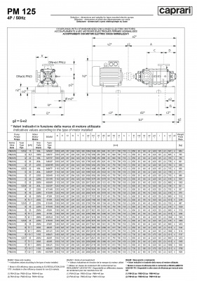 Горизонтальные многоступенчатые насосы высокого давления Caprari PM 125 1450 Горизонтальные многоступенчатые насосы высокого давления Caprari PM 125 1450