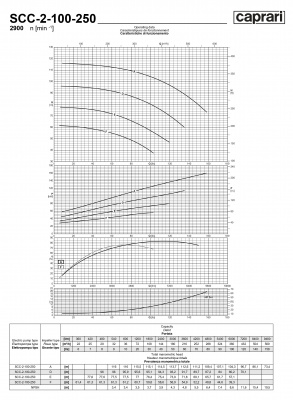 Горизонтальные насосы двустороннего входа Caprari SCC-2-100-250 2900 Горизонтальные насосы двустороннего входа Caprari SCC-2-100-250 2900