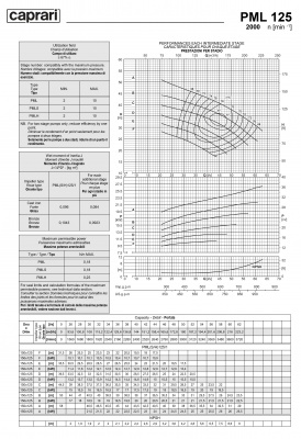Горизонтальные многоступенчатые насосы высокого давления Caprari PML 125 2000 Горизонтальные многоступенчатые насосы высокого давления Caprari PML 125 2000