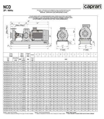 Одноступенчатые горизонтальные центробежные насосы Caprari NCDS 2P50-125 3450 Одноступенчатые горизонтальные центробежные насосы Caprari NCDS 2P50-125 3450