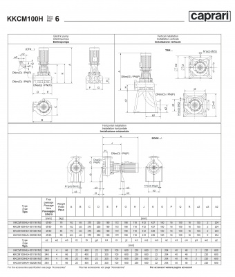 Сухая установка фекального насоса Caprari K-KOMPACT 6 DN 100 KKCM100H Сухая установка фекального насоса Caprari K-KOMPACT 6 DN 100 KKCM100H
