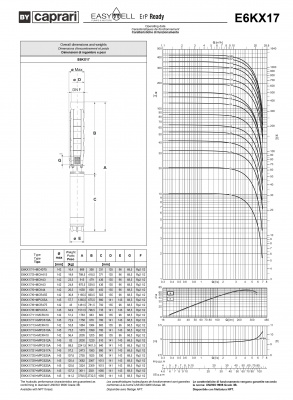 Скважинные насосы Caprari E6KX17 из нержавеющей стали Скважинные насосы Caprari E6KX17 из нержавеющей стали