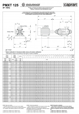Горизонтальные секционные насосы высокого давления Caprari PMXT 125 2200 из нержавеющей стали Горизонтальные секционные насосы высокого давления Caprari PMXT 125 2200 из нержавеющей стали