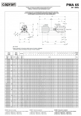 Горизонтальные многоступенчатые насосы высокого давления Caprari PMA 65 1750 Горизонтальные многоступенчатые насосы высокого давления Caprari PMA 65 1750