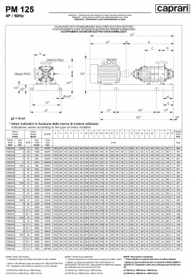Горизонтальные многоступенчатые насосы высокого давления Caprari PM 125 2200 Горизонтальные многоступенчатые насосы высокого давления Caprari PM 125 2200