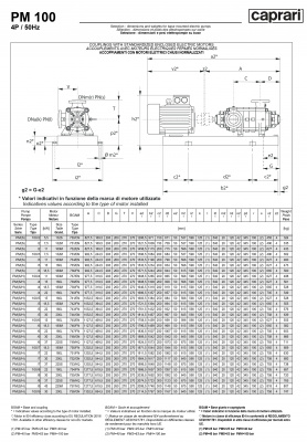Горизонтальные многоступенчатые насосы высокого давления Caprari PM 100 2200 Горизонтальные многоступенчатые насосы высокого давления Caprari PM 100 2200