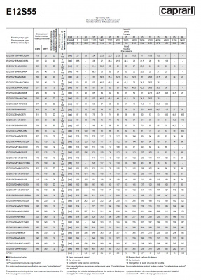Скважинные насосы Caprari E12S55 из чугуна Скважинные насосы Caprari E12S55 из чугуна