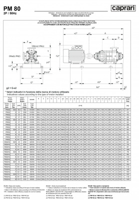 Горизонтальные многоступенчатые насосы высокого давления Caprari PM 80 1750 Горизонтальные многоступенчатые насосы высокого давления Caprari PM 80 1750