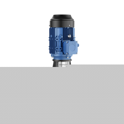 Вертикальный многоступенчатый насос Purity PVT 120-60-1