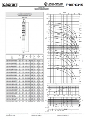 Скважинные насосы Caprari E10PX315 из нержавеющей стали Скважинные насосы Caprari E10PX315 из нержавеющей стали