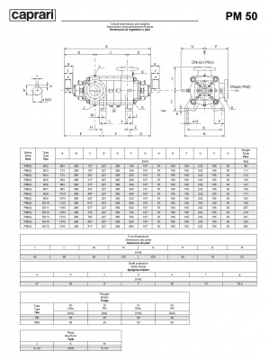 Горизонтальные многоступенчатые насосы высокого давления Caprari PM 50 2900 Горизонтальные многоступенчатые насосы высокого давления Caprari PM 50 2900