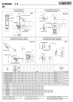 Погружные канализационные элктронасосы Caprari KCM250R(N) Погружные канализационные элктронасосы Caprari KCM250R(N)