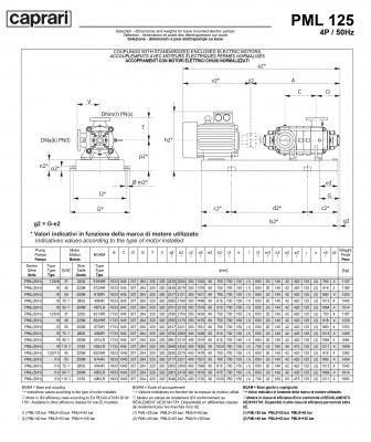 Горизонтальные многоступенчатые насосы высокого давления Caprari PML 125 1750 Горизонтальные многоступенчатые насосы высокого давления Caprari PML 125 1750