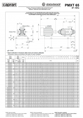 Горизонтальные секционные насосы высокого давления Caprari PMXT 65 1450 из нержавеющей стали Горизонтальные секционные насосы высокого давления Caprari PMXT 65 1450 из нержавеющей стали