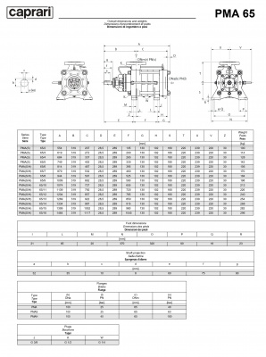 Горизонтальные многоступенчатые насосы высокого давления Caprari PMA 65 1450 Горизонтальные многоступенчатые насосы высокого давления Caprari PMA 65 1450