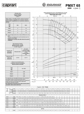 Горизонтальные секционные насосы высокого давления Caprari PMXT 65 2000 из нержавеющей стали Горизонтальные секционные насосы высокого давления Caprari PMXT 65 2000 из нержавеющей стали