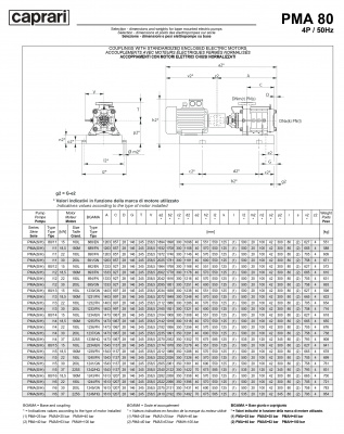 Горизонтальные многоступенчатые насосы высокого давления Caprari PMA 80 1450 Горизонтальные многоступенчатые насосы высокого давления Caprari PMA 80 1450
