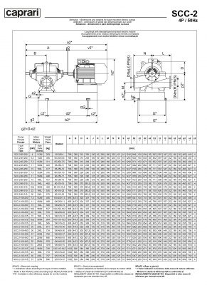 Горизонтальные насосы двустороннего входа Caprari SCC-2-80-250 2900 Горизонтальные насосы двустороннего входа Caprari SCC-2-80-250 2900