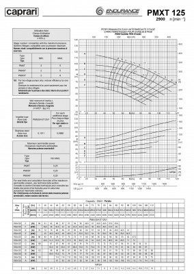 Горизонтальные секционные насосы высокого давления Caprari PMXT 125 2900 из нержавеющей стали Горизонтальные секционные насосы высокого давления Caprari PMXT 125 2900 из нержавеющей стали