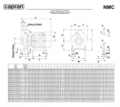 Поверхностные одноступенчатые консольно-моноблочные насосы Caprari NMC 80 2P Поверхностные одноступенчатые консольно-моноблочные насосы Caprari NMC 80 2P