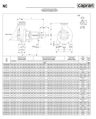 Одноступенчатые горизонтальные центробежные насосы Caprari NCH 125-400 1450 Одноступенчатые горизонтальные центробежные насосы Caprari NCH 125-400 1450