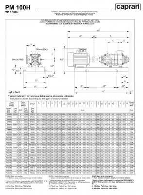 Горизонтальные многоступенчатые насосы высокого давления Caprari PM 100 1450 Горизонтальные многоступенчатые насосы высокого давления Caprari PM 100 1450