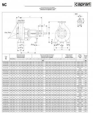 Одноступенчатые горизонтальные центробежные насосы Caprari NC 200-400 1450 Одноступенчатые горизонтальные центробежные насосы Caprari NC 200-400 1450
