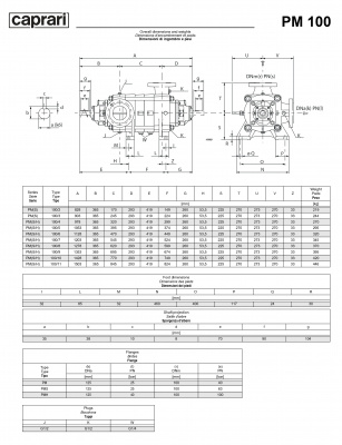 Горизонтальные многоступенчатые насосы высокого давления Caprari PM 100 2000 Горизонтальные многоступенчатые насосы высокого давления Caprari PM 100 2000