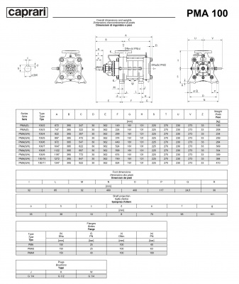 Горизонтальные многоступенчатые насосы высокого давления Caprari PMA 100 2900 Горизонтальные многоступенчатые насосы высокого давления Caprari PMA 100 2900