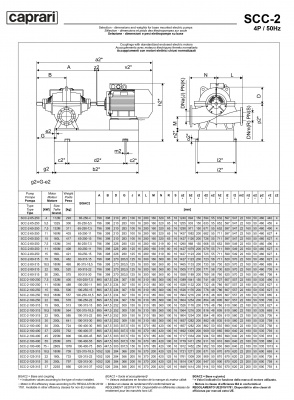 Горизонтальные насосы двустороннего входа Caprari SCC-2-125-315 2900 Горизонтальные насосы двустороннего входа Caprari SCC-2-125-315 2900
