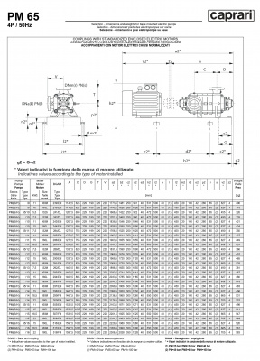 Горизонтальные многоступенчатые насосы высокого давления Caprari PM 65 2000 Горизонтальные многоступенчатые насосы высокого давления Caprari PM 65 2000