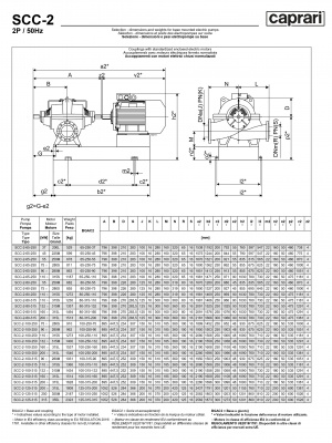 Горизонтальные насосы двустороннего входа Caprari SCC-2-125-315 2900 Горизонтальные насосы двустороннего входа Caprari SCC-2-125-315 2900