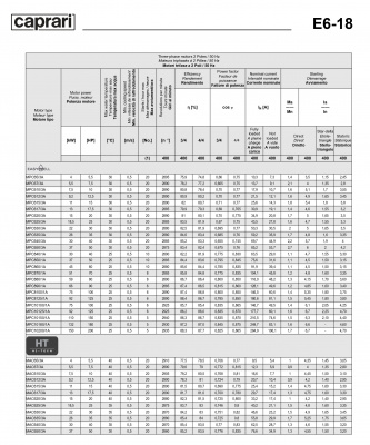 Двигатели для скважинных насосов Caprari MPC617/3A Двигатели для скважинных насосов Caprari MPC617/3A