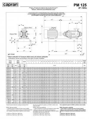 Горизонтальные многоступенчатые насосы высокого давления Caprari PM 125 1750 Горизонтальные многоступенчатые насосы высокого давления Caprari PM 125 1750