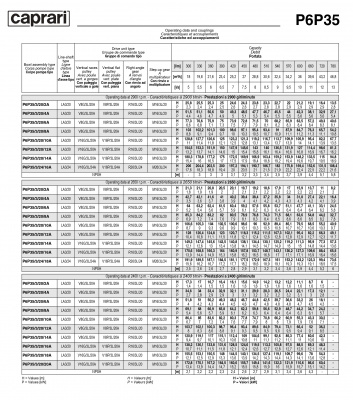 Вертикальные полупогружные насосы Caprari P6P35 Вертикальные полупогружные насосы Caprari P6P35